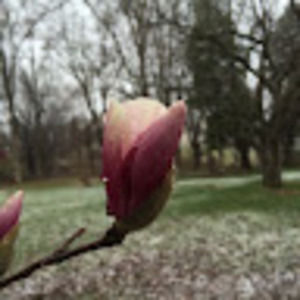 Meet your Posher, April